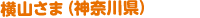 横山さま（神奈川県）